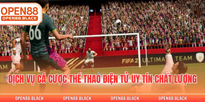 Dịch vụ cá cược thể thao điện tử uy tín chất lượng