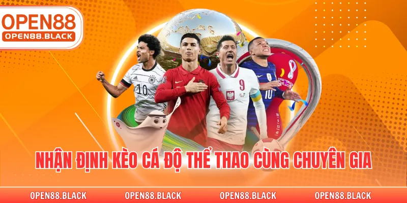 Nhận định kèo cá độ thể thao cùng chuyên gia